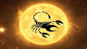 Work towards developing a secure future for you and your dependents this year. Scorpio Horoscope 2021 This Year Will Have Good Financial Results Succeeding In Competitive Exams Vrischika Rashi Trending Prime Time Zone