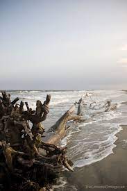 Favorite Posts The Lettered Cottage Scenery Beach Life Landscape