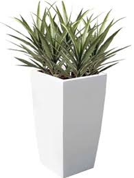 4.6 out of 5 stars. Outdoor Planters Vancouver Custom Planters Toronto Planters
