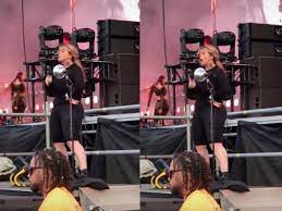 Sign Language Interpreter Goes Viral For Impressive Performance Of Wap The Independent