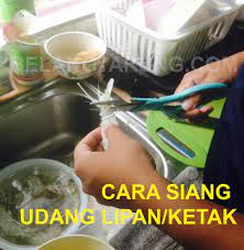 Pada stadium yang lebih parah, bisa lipan bisa menyebabkan alergi seperti mata bengkak, sakit kepala, dan gangguan pernapasan. Cara Betul Siang Udang Lipan Atau Udang Ketak Mantis Shrimp Some Bullet For Your Head