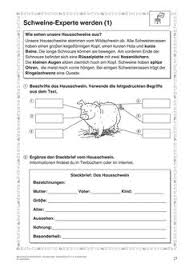 Natur Und Leben Arbeitsblatter Grundschule Lehrerburo Early Intervention Program Special Education Special Education Teacher