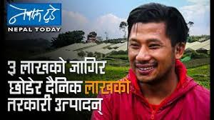 Democracy For Nepal: मधेस मा चार पाँच वटा राष्ट्रिय मधेसी पार्टी हरु का  लागि ठाउँ छ?