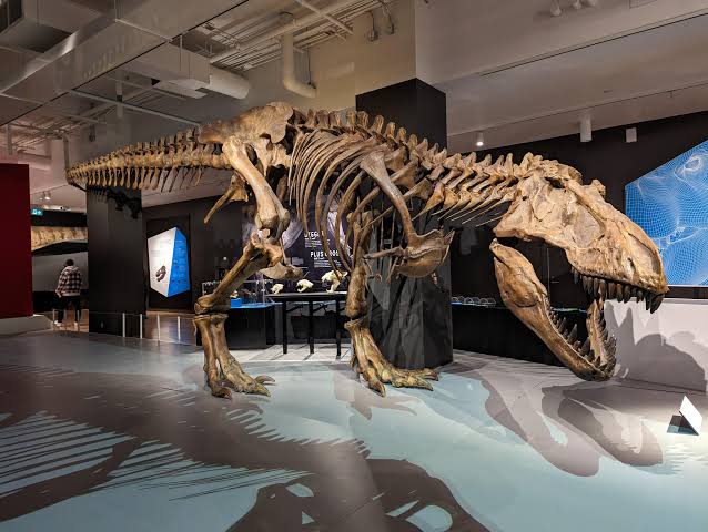 Fui a la exposición de tiranosaurios en el Royal Ontario Museum y tenían  una reconstrucción de T. Rex absolutamente aterradora. : r/Dinosaurs