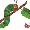 To be precise, die kleine raupe nimmersatt doesn't translate to the very hungry caterpillar. 1