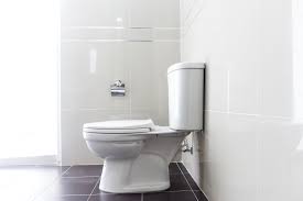 Get free shipping on qualified round toilet bowls or buy online pick up in store today in the bath department. The 7 Best Toilets For Your Home In 2021