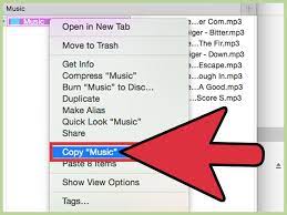 If your music is missing from itunes, as well as from your computer, your ipod files will also be lost if. 3 Ways To Copy Songs From Your Ipod To Your Computer Wikihow