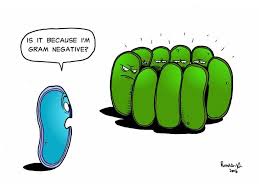 Pin by Amy Kochensparger on Science Quotes | Pinterest | Cartoon ... via Relatably.com