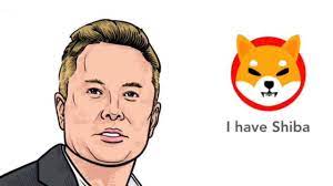 How to read and predict shiba inu price movements? Shiba Inu Shib Coin Price Prediction Can It Reach 1 Cent