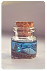 Shells In A Glass Bottle Miniature Miniature Bottle Dollhouse Decoration Glass Vial Shell Bottle Bjd Accessories Ocean Bottle Miniature Bottles Glass Vials Bottle
