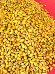 Image result for Mimusops obtusifolia