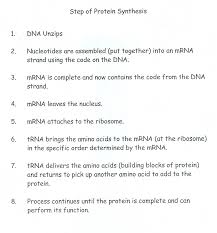 Student exploration rna and protein synthesis answer key. Https Www Rhnet Org Site Handlers Filedownload Ashx Moduleinstanceid 49602 Dataid 96092 Filename Genetics 20packet 202019 2020 Pdf