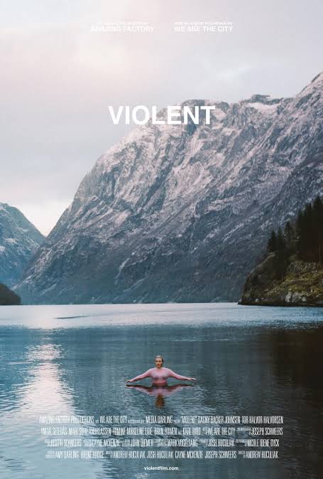 Violent movie poster (2014)