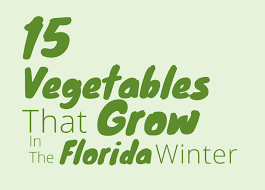 Oct 22, 2020 · they have deformed roots: Best Vegetables To Grow During The Florida Winter