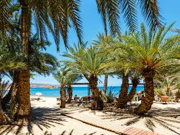 Palmeraie de vai est un endroit idéal pour frapper quand vous cherchez ce quil faut faire dans sitía. Vai