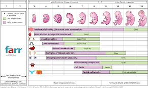 International Fetal Alcohol Syndrome Day 9 September 2020 Optima