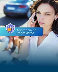 Seguros Organizacion Domanico(@segurosorg.domanico) • Instagram 사진 및 동영상