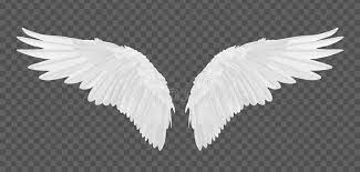 Vector Realistic Angel Wings Isolated On Transparent Background Aff Angel Realistic Vect Angel Wings Background Angel Wings Vector Angel Wings Images