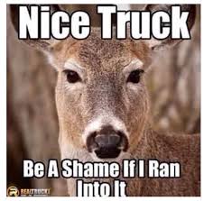 Nice Truck Hunting Humor Deer Hunting Memes Hunting Quotes Funny