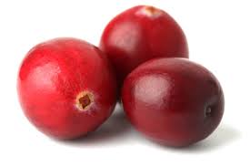 Cranberry Shows Urinary Tract Benefits For Children Study