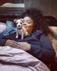 Rescue is a small portland, oregon 501c3 nonprofit organization. Lizzo S Crew Adopted A Cute Little Rescue Dog In Madison