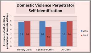 New York State Domestic Violence Dashboardproject 2013 Data