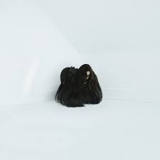 Check for news, concert, tour details, latest info, complete overview for may 2021 chelsea wolfe. Chelsea Wolfe Hiss Spun