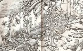 Rainforest Pencil Drawing Google Search Pencil Drawings Background Images Wallpapers Drawing Wallpaper