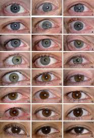 Grading Of Iris Color With An Extended Photographic