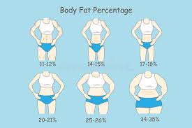 Then input your gender and measurements below to receive a body fat index based on average values. Cartoon About Body Fat Percentage Stock Vector Illustration Of Health Obesity 73247469