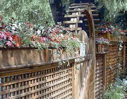How To Get A Little Extra Privacy Above A Fence Gardening Q A With George Weigel Garden Vines Garden Shrubs Screen Plants