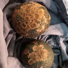 Image result for Dark Avocado 1972 Fedders