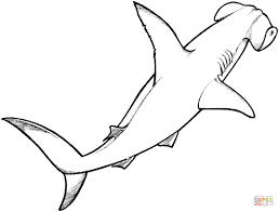 Shark Coloring Pages Hammerhead Shark 1 Coloring Page With Shark Coloring Pages Shark Coloring Pages Shark Drawing Shark Painting