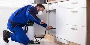 Find the best professional pest control companies to help you get your home or office cleaned from ants, bed bugs, cockroaches, and rats in dubai using spray and gel. Pest Control Service For Aed 99 At Intrepid Pest Control Service