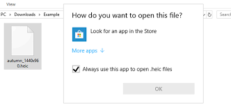 To get the heif image extensions click here: How To Open Heic Files On Windows Or Convert Them To Jpeg