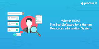 As in other types of information systems, an hris consists of a database, which contains one or more files in which the data relevant to in order to understand the types of applications available to hris users, it is best to consider the evolving nature of human resource information systems applications. What Is Hris The Best Software For A Human Resources Information System Process Street Checklist Workflow And Sop Software