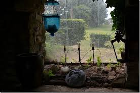 Silence Ca Pousse Avec Stephane Marie Blog De Chiffon Chineuse Idee Deco Jardin Stephane Marie Deco Jardin