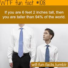 If You Are 6 2 Then You Are Taller Than 94 Of The World Fun Facts Wtf Fun Facts Funny Facts