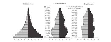 Jenis Jenis Piramida Penduduk Geomedia