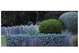 Landscape architects do design gardens, but what is critical is that the garden, or any other outdoor space, is seen in context. Birla A1 The 5 Elements Of Landscape Design