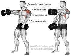 Repeat for the desired repetitions. Alternating Dumbbell Front Raise Main Muscles Worked Anterior Deltoid Lateral Deltoid Clavicular Pe Shoulder Workout Best Shoulder Workout Dumbbell Workout