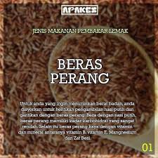 Maybe you would like to learn more about one of these? Oh Dunia Jenis Jenis Makanan Pembakar Lemak Semoga Facebook