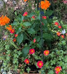 Pin On Fall Decorating