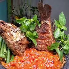 Related posts to contoh gambar kartun ikan. 13 Ide Kucing Lucu Kucing Lucu Kucing Lucu