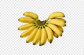 In a frying pan sauté the peeled banana along with the butter and sugar. Yellow Bananas Saba Banana Cooking Banana Pisang Goreng Lady Finger Banana Banana Food Nutrition Fruit Png Pngwing
