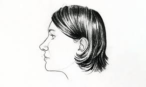 See fish drawing stock video clips. Keys To Drawing Realistic Hair Conquering The Coiffure Craftsy