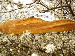 Baguette Maison Recette De Baguette Maison Marmiton