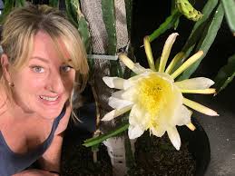 This is my flower, my Scottie ❤️