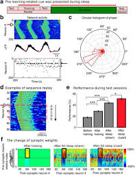 Star sessions featured the kansas city blues/roots/soul danielle nicole band on monday, mar. Stimulation Augments Spike Sequence Replay And Memory Consolidation During Slow Wave Sleep Journal Of Neuroscience