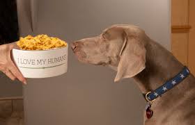 Save 15% on only natural pet's branded dog or cat food (and other products), and 10% off on other most other online pet retail stores have a wide range of animal supplies, including birds, reptiles, and other. Pawsitively Pure Blog Dog Health And Feeding Tips Natural Dog Food Orlando